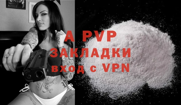 винт Абаза