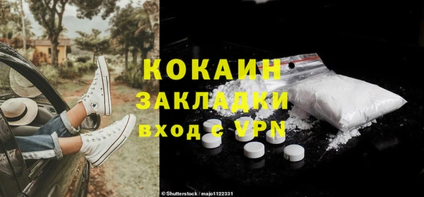 винт Абаза