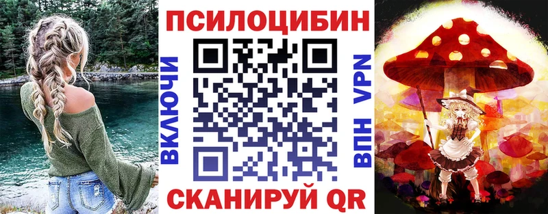blacksprut   Инта  Псилоцибиновые грибы Psilocybe  хочу наркоту 
